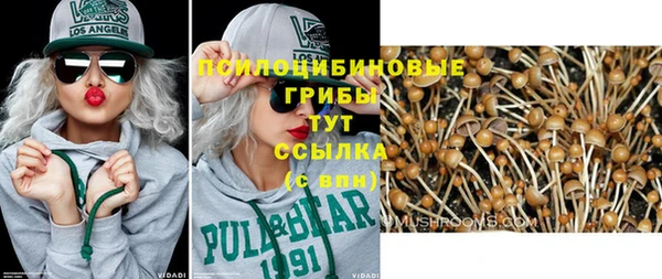 дурь Краснотурьинск