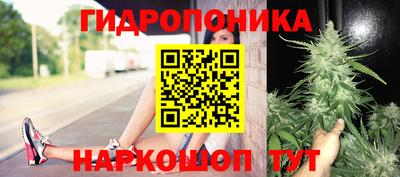 прущие грибы Будённовск