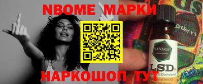 прущие грибы Будённовск