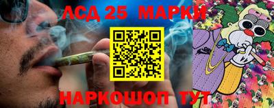 прущие грибы Будённовск