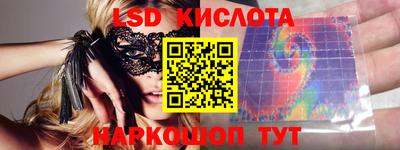 прущие грибы Будённовск
