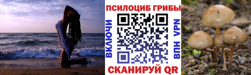 Псилоцибиновые грибы MAGIC MUSHROOMS  Волгодонск 