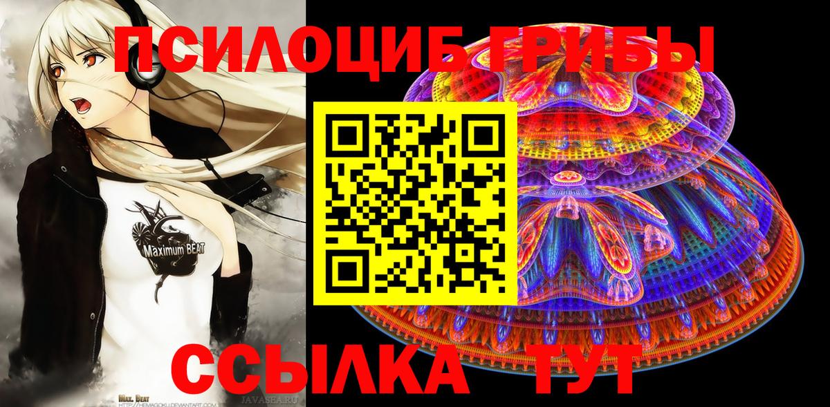 Псилоцибиновые грибы Cubensis  Вход с VPN  Волгодонск 