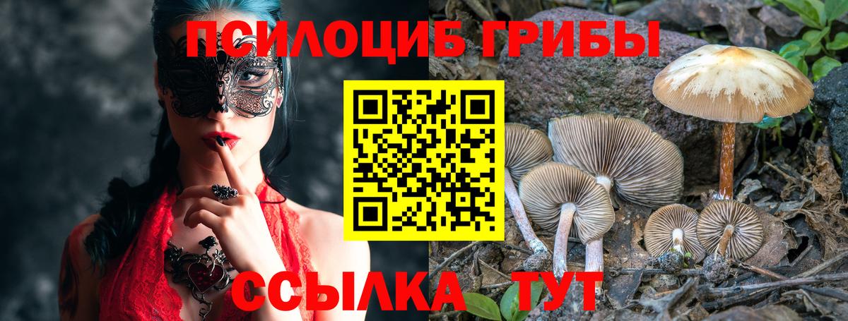 Галлюциногенные грибы мицелий Волгодонск