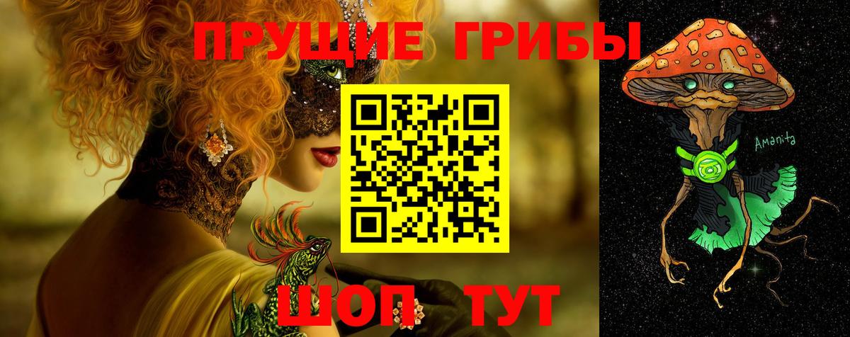 Псилоцибиновые грибы мицелий Волгодонск