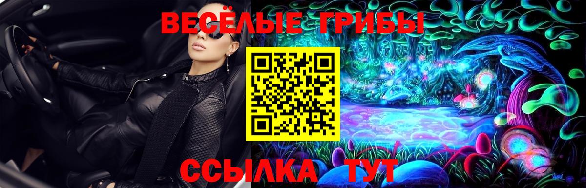 Галлюциногенные грибы GOLDEN TEACHER  Волгодонск 