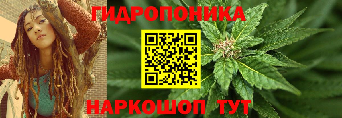 Марихуана SATIVA & INDICA Волгодонск
